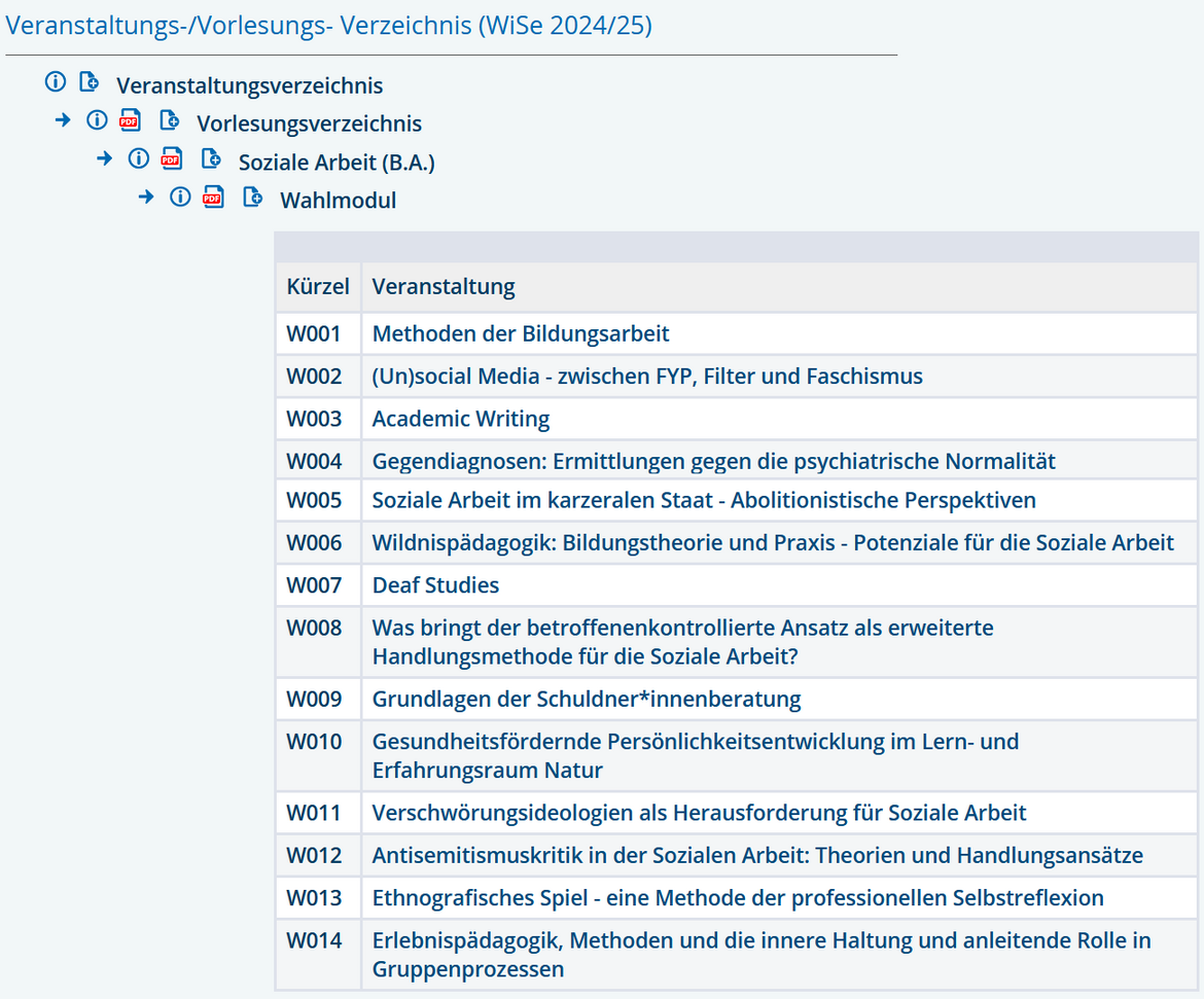 Wahlmodule im WiSe 24