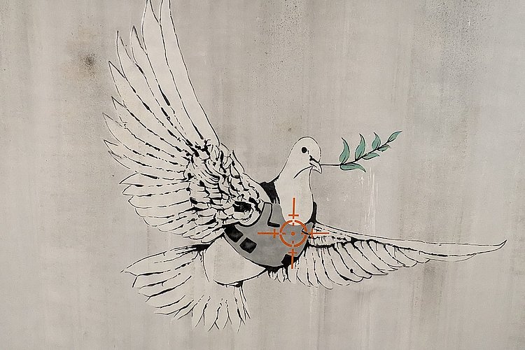 Das Foto zeigt die Kopie des Grafitis "Armoured Dove" des Künstlers Banksy.