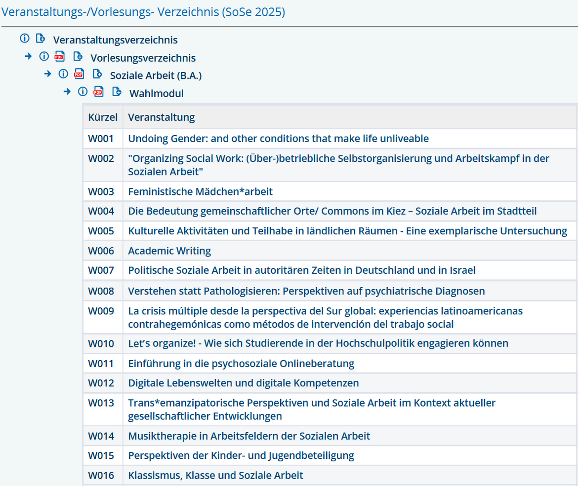 Wahlmodule im Sommersemester 2025