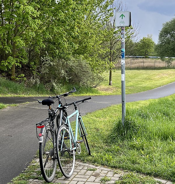 Zwei Fahrräder in der Natur